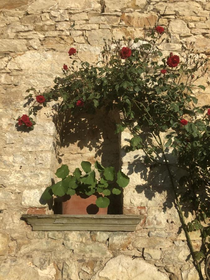 Mea Casa Toscana Castellina in Chianti Exteriör bild