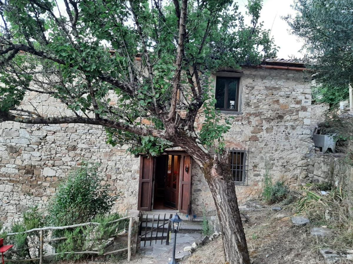 Mea Casa Toscana Castellina in Chianti Exteriör bild